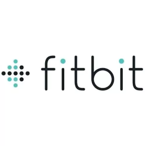Fitbit Corporate Gifts