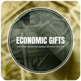 economy Gifts Price under 500