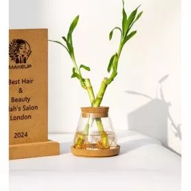 Cork Conical Flask Planter 9C23224