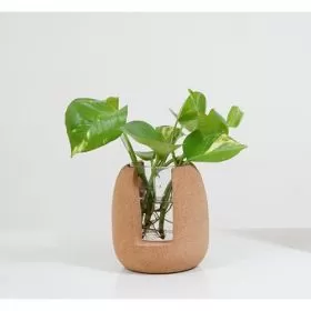 Cork Oval Test Tube Planter 9C23202