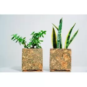 Cork Feather Planter 9C23304