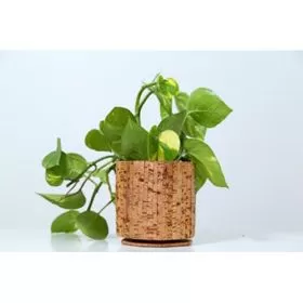 Cork Round Planter Linea 9C23308