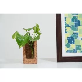 Cork Test Tube Planter 3 9C23204