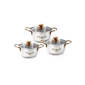 Wonderchef Gold Stanton Stainless Steel 3 piece Casserole