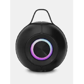 Swiss Military Ancha Wazowski 10W Speaker with TWS