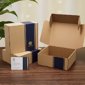 Terra Eco-friendly Mailer Box