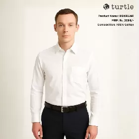 Turtle Brisbane Shirt